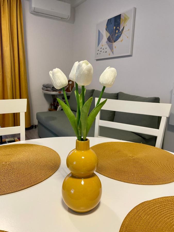 Apartament Mara Băile Felix 外观 照片